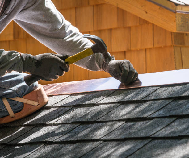 Best Gutter Installation and Roofing  in Lake Helen, FL